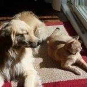 Meet your Posher, Sharon